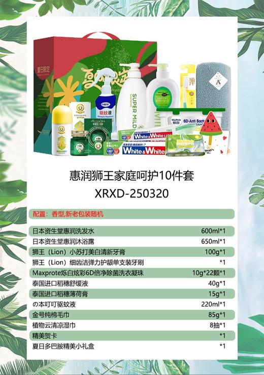 惠润狮王家庭呵护10件套-XRXD-250320 商品图0