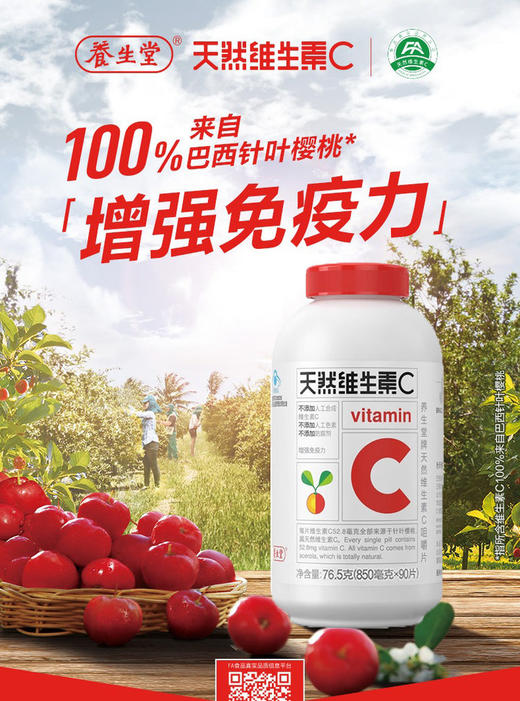 养生堂天然维生素C 商品图3