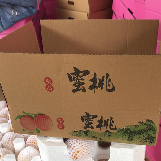 山东蒙阴黄金蜜桃4.5-5斤（9-15个） 商品图1