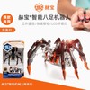 赫宝机器虫系列黑寡妇蜘蛛 商品缩略图0