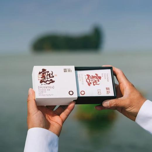 霸茶 古熟小圆环 8g*10片/盒 厂家直发 商品图1