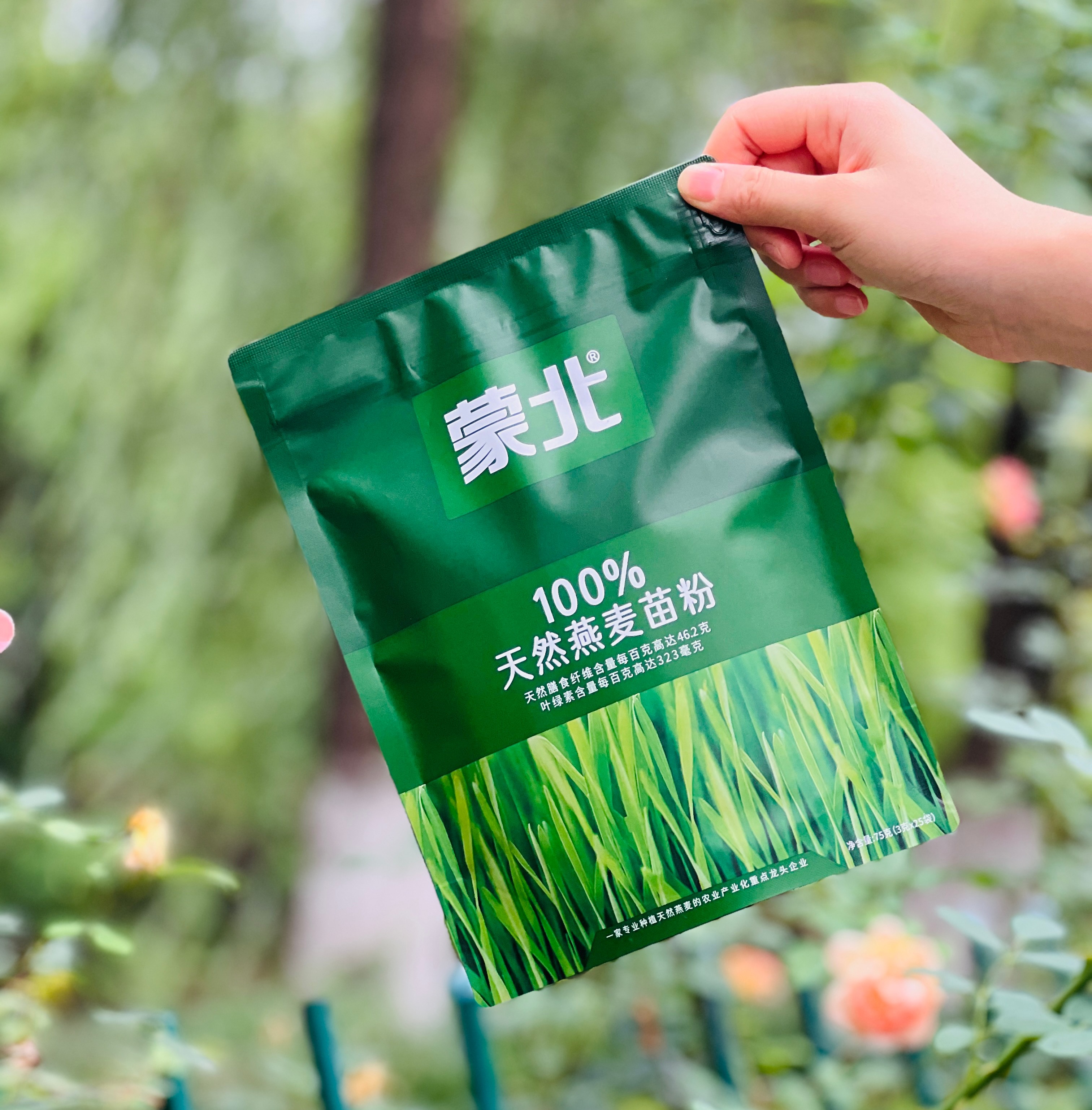 蒙北天然燕麦苗粉高膳食纤维低脂冲饮青汁饱腹健身营养独立小袋装