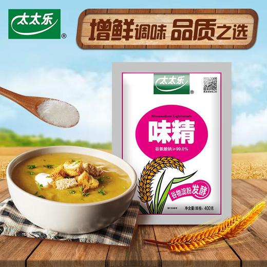 太太乐 99度味精400g 商品图0