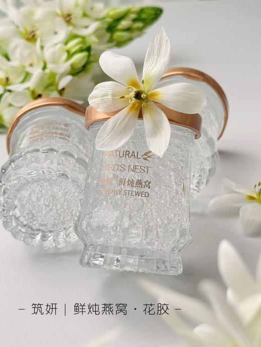 288元/6瓶！变美专属【筑妍盏炖】鲜炖燕窝、五红汤超浓花胶，超实惠～ 商品图0