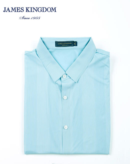 占姆士男士含桑蚕丝无痕冰凉T恤POLO衫新 商品图2