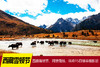【西藏】雪顿节、阿里南线、珠峰15日精华摄影团<12人封顶> 商品缩略图0