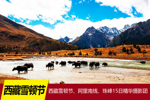 【西藏】雪顿节、阿里南线、珠峰15日精华摄影团<12人封顶> 商品图0