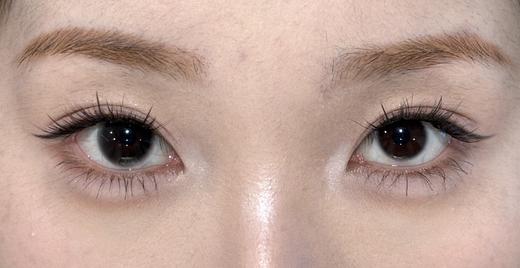 Toffee日抛--黑蛋仔 商品图5