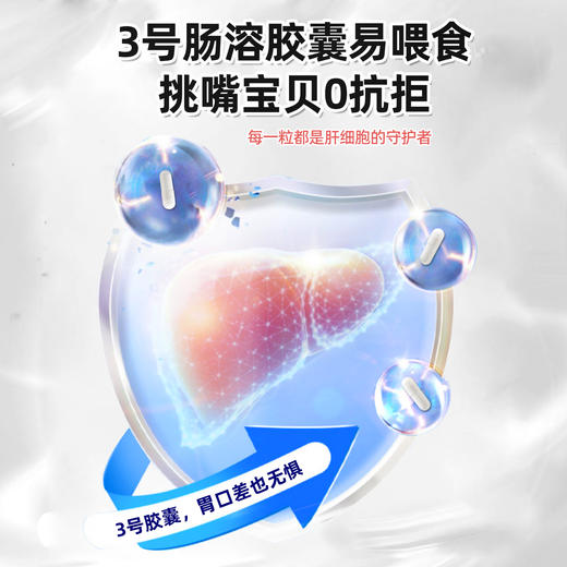 甘泰利-肝脏代谢修护胶囊颗粒 商品图2