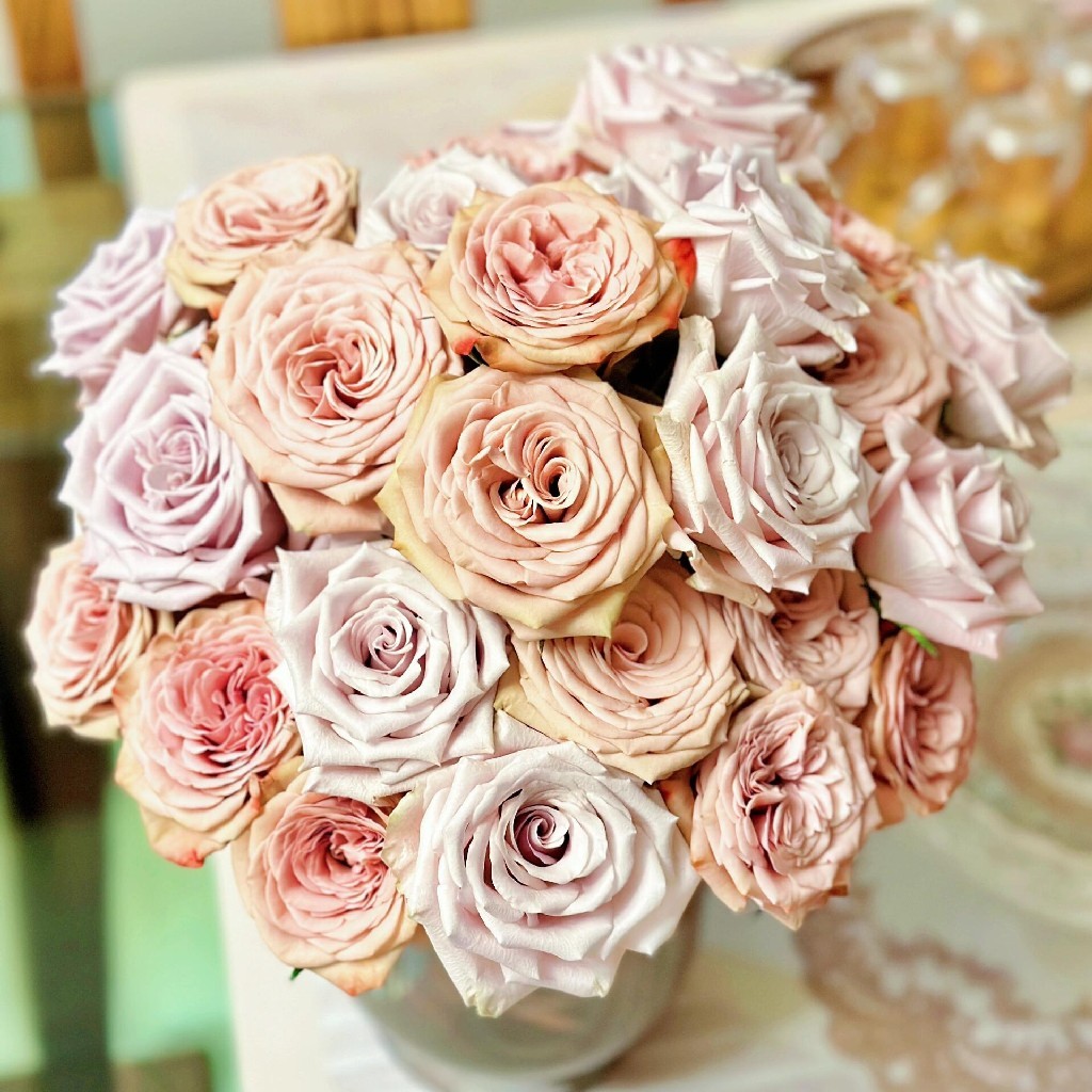 【牛奶咖啡】卡布奇诺玫瑰10支+曼塔玫瑰10支