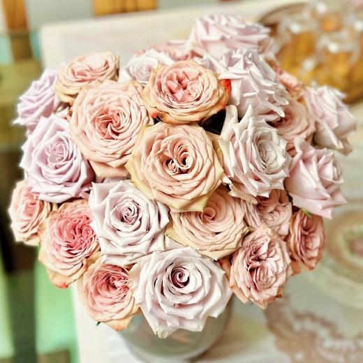 【牛奶咖啡】卡布奇诺玫瑰10支+曼塔玫瑰10支 商品图0