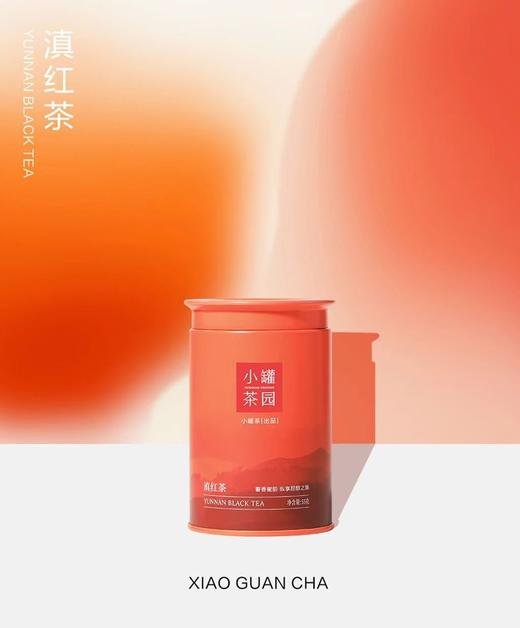 小罐茶园溢彩系列普洱熟茶60g2罐+大红袍茶40g2罐+滇红茶55g2罐【发中通物流】搭配咖色礼盒和手提袋哦适合自饮和送人 商品图6
