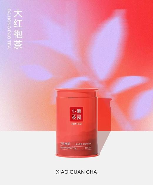 小罐茶园溢彩系列普洱熟茶60g2罐+大红袍茶40g2罐+滇红茶55g2罐【发中通物流】搭配咖色礼盒和手提袋哦适合自饮和送人 商品图5