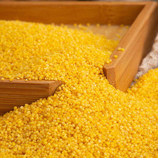 阿比该黄小米850g 商品图1