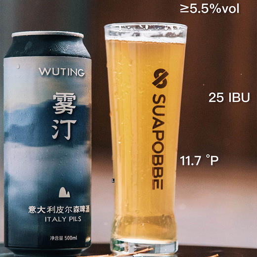 【冷库储存】沙坡尾啤酒 新品暑风酒花拉格/雾汀意大利皮尔森国产精酿 500ml 商品图3