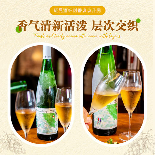 微醺！小甜酒！【超值4瓶装】贵伦堡半甜白葡萄酒 香气清新 口感轻盈 750ml*4瓶 商品图2