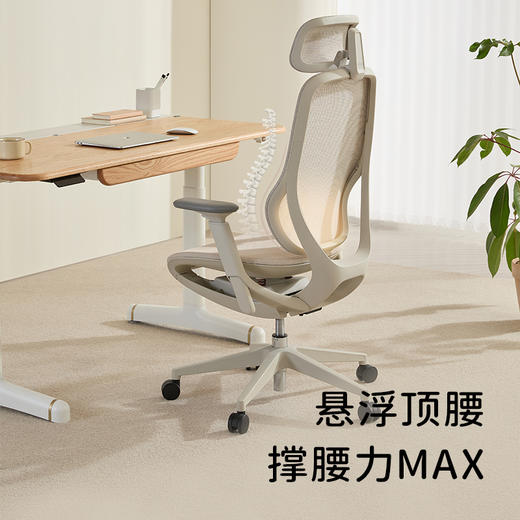 2平米青少年成人电脑椅护腰办公椅A300Pro人体工学椅 商品图1