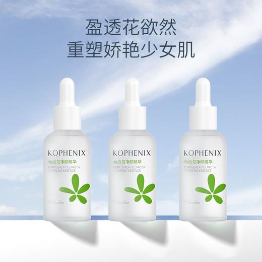 【会员尊享】马齿苋净颜平衡精华+清洁泥膜 商品图2