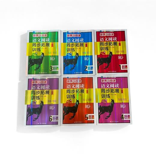 2026黑马阅读现代文课外阅读古诗文课外阅读同步拓展训练英语阅读训练123456年级任选 商品图1