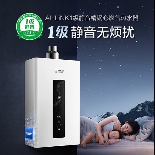【JSQ31-FSCWi】A.O.史密斯1级静音精钢心燃气热水器 详情页 商品图0