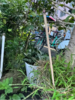 🌟【兰序艾草棒棒香】夏季户外驱蚊必备神器🔥植物艾草，让蚊虫🦟无处可逃❗️❗️无毒无害无激素，母婴可用❗️❗️五分钟见效，给你户外长效持久的防护 商品缩略图1