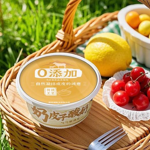 天友奶皮子酸奶150g 商品图0