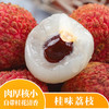 【直播专享】桂味荔枝 肉厚核小 自带桂花清香 商品缩略图1