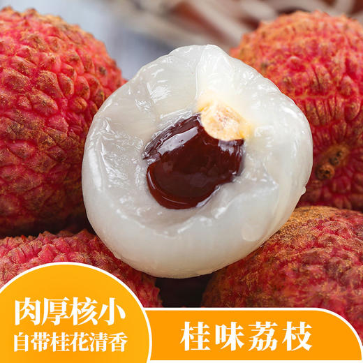 【直播专享】桂味荔枝 肉厚核小 自带桂花清香 商品图1