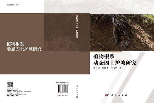 植物根系动态固土护坡研究 商品图3