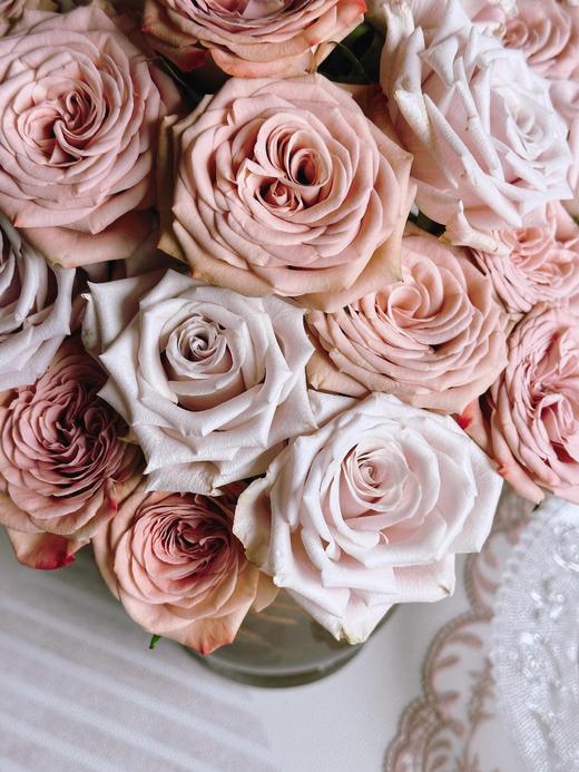 【牛奶咖啡】卡布奇诺玫瑰10支+曼塔玫瑰10支 商品图2