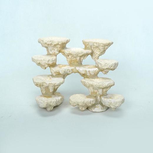 微缸烧制款海水鱼缸造景免暴藻引菌水族鱼缸装饰摆件定制 商品图1