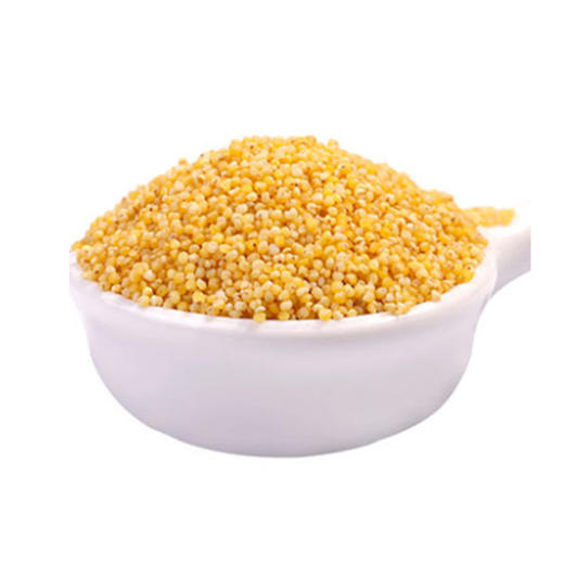 阿比该黄小米850g 商品图5