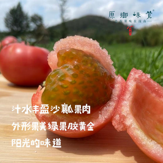 有机瑞粉番茄/草莓西红柿（基地直发-顺丰包邮）|3斤、4.5斤装，来自云南“四只瓢虫”昆明基地，生产者：王建钧【合作生产，公平贸易】 商品图2