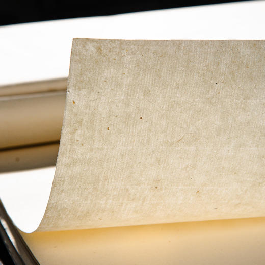 70年代十竹斋制木版水印尺八屏大画笺(竹，单张) 商品图10