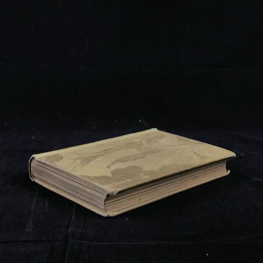 1894年 安德鲁·朗格《黄色童话书》 数十幅精美插图 漆布精装32开 商品图1