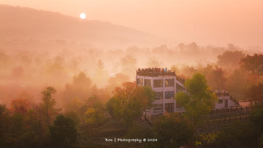 大别山秋色丨罗田水中红叶&柿子古村、大悟乌桕红叶、钱冲古银杏群落6天摄影团 商品图8