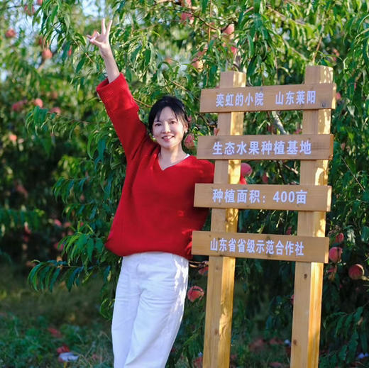 【新增桃木挂坠】【奕虹合作的山东秋桃基地的老桃木制作真桃木配饰系列-12年老桃木制作】满满寓意 一个集实用性、艺术性与深厚精神内涵于一身的吉祥符号 商品图5