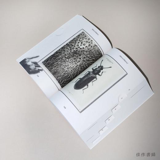 【全新现货】Die Schonsten deutschen Bucher 2023: The Best German Book Design 2023 / 2023年度最佳德国书籍设计 商品图4