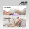 猫太子/STG腰椎舒缓器腰部托举拉伸牵引成人儿童背部按摩器神器材脊柱矫正 商品缩略图3