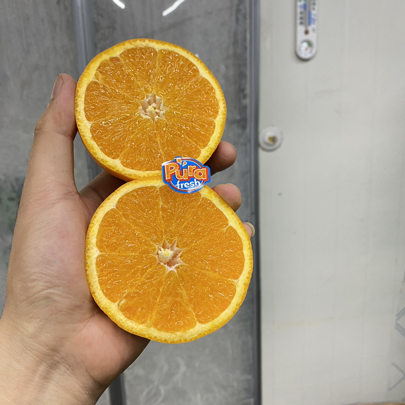 【西班牙 进口橙】西班牙进口橙，甜度高，水分多，好橙子切块也很甜嫩，榨汁也合适！