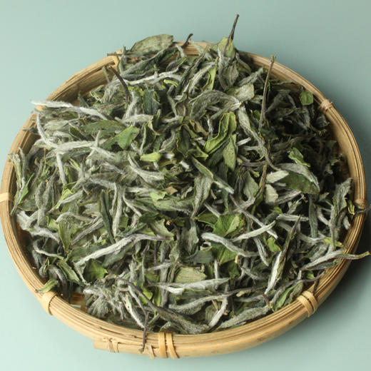 【新茶】鼎茗荟丨2025年太姥山高山白牡丹 福鼎白茶 一级 100g/500g 手 自饮囤茶性价比高 商品图1