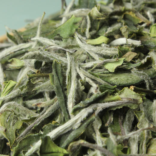 【新茶】鼎茗荟丨2025年太姥山高山白牡丹 福鼎白茶 一级 100g/500g 手 自饮囤茶性价比高 商品图2