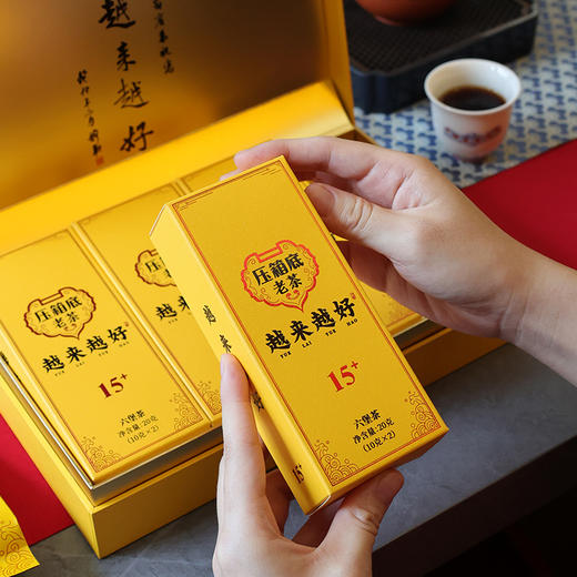 压箱底老茶 越来越好 六堡茶 15年陈 礼盒装/8泡/80克 商品图3