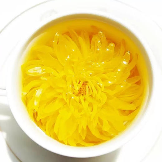 野森林降温组合方案1125g 商品图1