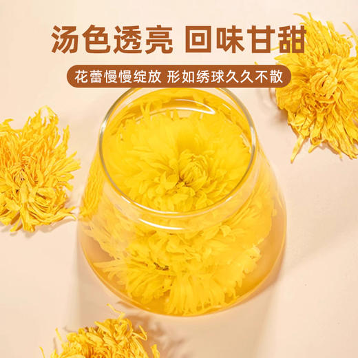 菊花茶金丝皇菊菊中皇后无薰硫无残农真材实料四季灭火气 CM 商品图2