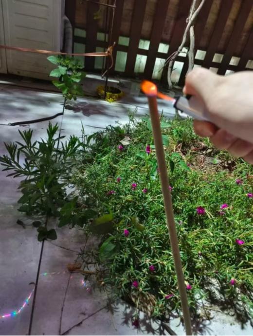 🌟【兰序艾草棒棒香】夏季户外驱蚊必备神器🔥植物艾草，让蚊虫🦟无处可逃❗️❗️无毒无害无激素，母婴可用❗️❗️五分钟见效，给你户外长效持久的防护 商品图8