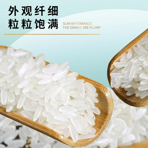 香江客-原种香米 商品图2