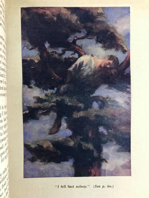 1917年 鲁滨逊漂流记 24幅彩色手工贴图 漆布精装16开 商品图8