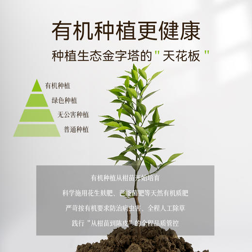 基地直发| 新会陈皮50g/罐 | 世纪茗家 商品图5