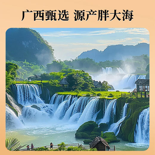 雷允上胖大海90g/罐 商品图8